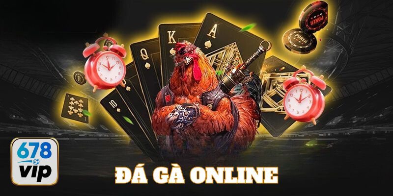 Đá Gà Online - Đá Gà Online là gì? Hiểu đúng trước khi vào kèo